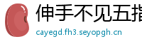 伸手不见五指网
